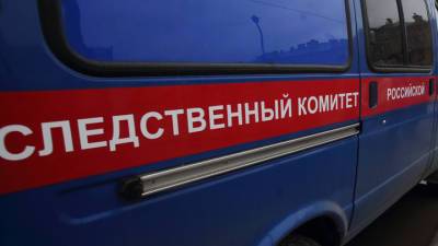 В убийстве двухлетнего ребенка под Челябинском заподозрили его отчима - vesti.ru - Челябинск