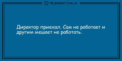 Анекдоты на день 25 мая, которые подарят вам улыбку и позитив - ТЕЛЕГРАФ - telegraf.com.ua