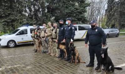 Стрельба прогремела в Одессе, съехалось много полиции: появилось видео от очевидцев - politeka.net - Одесса