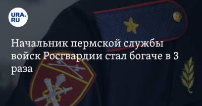 Начальник пермской службы войск Росгвардии стал богаче в 3 раза - ura.news - Пермь - Пермский край