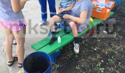 В Уфе стая бродячих собак покусала семилетнего мальчика на глазах у прохожих - mkset.ru - Уфа