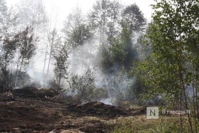 12 лесных пожаров произошло в Нижегородской области в 2021 году - vgoroden.ru - Нижегородская обл.