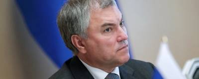Вячеслав Володин - Александр Калашников - Володин прокомментировал идею о замене трудовых мигрантов осужденными - runews24.ru