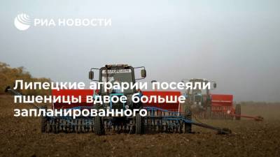 Игорь Артамонов - Липецкие аграрии посеяли пшеницы вдвое больше запланированного - smartmoney.one - Липецкая обл.