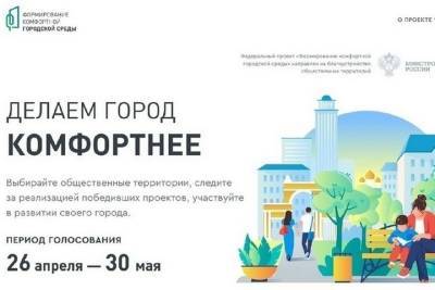 70 тысяч жителей Брянщины проголосовали по объектам благоустройства - mk.ru - Брянск - Брянская обл.