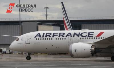 Рейсы еще трех авиакомпаний перестали летать над Белоруссией - fedpress.ru - Москва - Сингапур