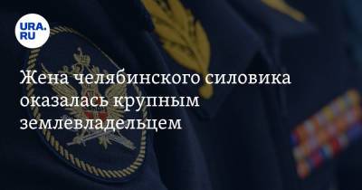 Жена челябинского силовика оказалась крупным землевладельцем - ura.news - Челябинская обл.