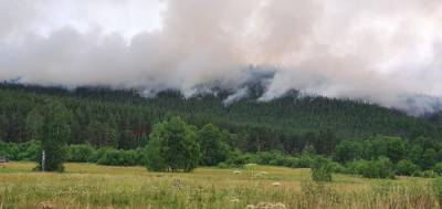 В Башкирии зарегистрировали 85 лесных пожаров - ufacitynews.ru - Башкирия - район Чишминский