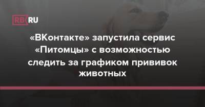 «ВКонтакте» запустила сервис «Питомцы» с возможностью следить за графиком прививок животных - rb.ru