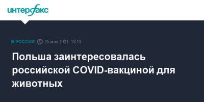 Польша заинтересовалась российской COVID-вакциной для животных - interfax.ru - Москва - Польша - Россельхознадзор