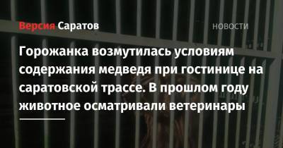 Горожанка возмутилась условиям содержания медведя при гостинице на саратовской трассе. В прошлом году животное осматривали ветеринары - nversia.ru - Башкирия - Саратовская обл. - Саратов - Волгоград - Октябрьский