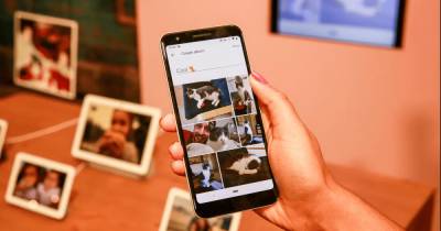 Google Фото меняет условия хранения файлов в облаке: что необходимо знать - focus.ua