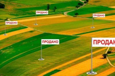 Експерт розповів, чи є підводні камені у законі про землю - from-ua.com