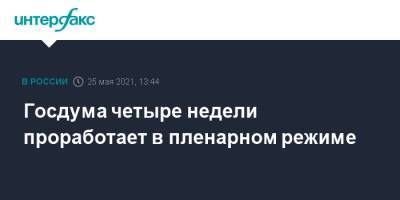 Вячеслав Володин - Госдума четыре недели проработает в пленарном режиме - interfax.ru - Москва