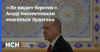 Реджеп Тайип Эрдоган - Башар Асад - Тайип Эрдоган - Семен Багдасаров - «Не видит берегов». Асаду посоветовали опасаться Эрдогана - nsn.fm - Сирия