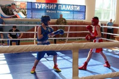 В костромском поселке Чистые Боры прошел турнир по боксу - kostroma.mk.ru - Костромская обл. - Кострома