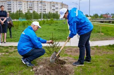 Работники АО "Транснефть – Север" приняли участие в международной акции "Сад памяти" - komiinform.ru - Ухта