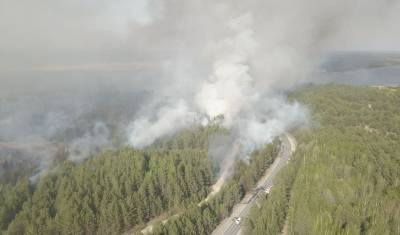 За нарушение запрета на посещение лесов оштрафованы 307 тюменцев - nashgorod.ru - Тюменская обл.