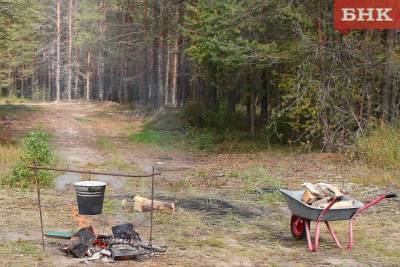 В трех районах Коми объявлена высокая пожароопасность - bnkomi.ru - респ. Коми - район Троицко-Печорский