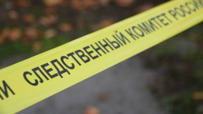 Крымчанин до смерти избил родственницу и закопал тело на берегу озера - crimea.ria.ru - Крым - Симферополь - Севастополь - район Джанкойский
