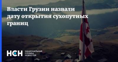 Власти Грузии назвали дату открытия сухопутных границ - nsn.fm - Грузия
