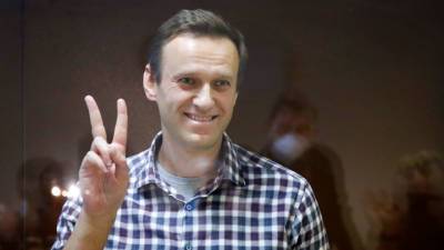 Алексей Навальный - Ольга Михайлова - За оскорбление судьи против Навального возбудили третье дело - vesti.ru