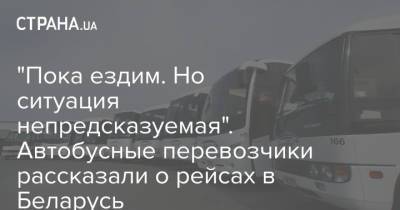 "Пока ездим. Но ситуация непредсказуемая". Автобусные перевозчики рассказали о рейсах в Беларусь - strana.ua - Украина - Киев