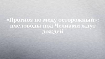«Прогноз по меду осторожный»: пчеловоды под Челнами ждут дождей - chelny-izvest.ru - район Тукаевский