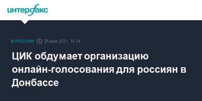 Элла Памфилова - ЦИК обдумает организацию онлайн-голосования для россиян в Донбассе - interfax.ru - Москва - Севастополь - Ростовская обл. - Донбасс