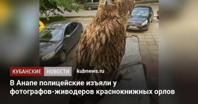 В Анапе полицейские изъяли у фотографов-живодеров краснокнижных орлов - kubnews.ru - Анапа - Сочи - Краснодарский край