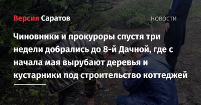Валерий Радаев - Чиновники и прокуроры спустя три недели добрались до 8-й Дачной, где с начала мая вырубают деревья и кустарники под строительство коттеджей - nversia.ru - Саратов - район Ленинский - Экология