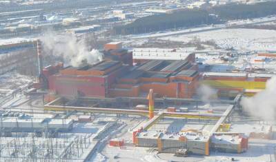 Полиция задержала активистов, раздававших газеты возле «УГМК Сталь» - nashgorod.ru