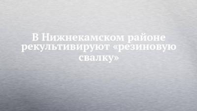 В Нижнекамском районе рекультивируют «резиновую свалку» - chelny-izvest.ru - респ. Татарстан - Мензелинск