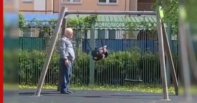 Видео с котом на качелях поразило пользователей сети - profile.ru - Москва - Московская обл. - шт. Иллинойс - Домодедово