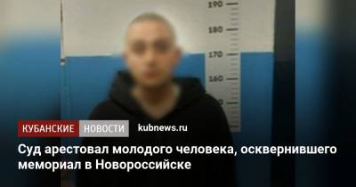 Суд арестовал молодого человека, осквернившего мемориал в Новороссийске - kubnews.ru - Краснодарский край - Воронеж - Новороссийск