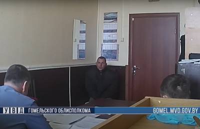 Мужчина в Чечерском районе спустил собаку на милиционеров и получил 2,7 года ограничения свободы - ont.by - район Чечерский