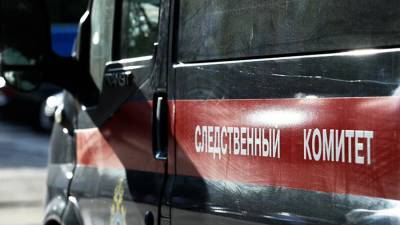 СК начал проверку по факту гибели ребенка после падения из окна в Подольске - iz.ru - Москва - Московская обл. - Подольск - Климовск