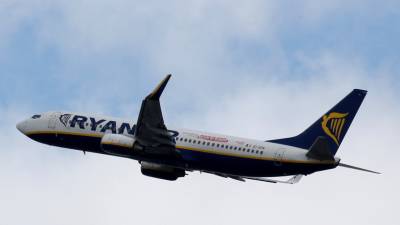 Александр Осауленко - В «Турпомощи» прокомментировали ситуацию вокруг посадки самолёта Ryanair в Белоруссии - russian.rt.com - Апсны