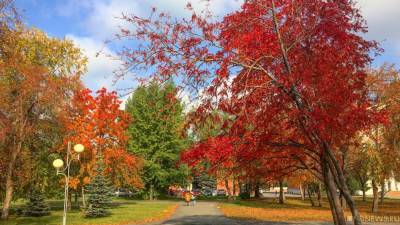 император Александр II (Ii) - Челябинская гордума одобрила установку памятника Александру II на Алом поле - newdaynews.ru - Челябинск