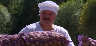 Александр Данилюк - В Киеве призвали не спешить с антибелорусскими санкциями без... - politnavigator.net - Россия - Украина - Киев
