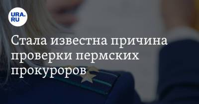 Стала известна причина проверки пермских прокуроров. Инсайд URA.RU подтвердился - ura.news - Пермь - Уральск