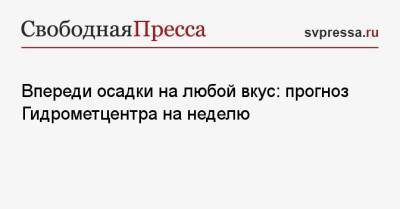 Впереди осадки на любой вкус: прогноз Гидрометцентра на неделю - svpressa.ru - Москва - Московская обл. - Тула - Орел - Белгород - Тульская обл.
