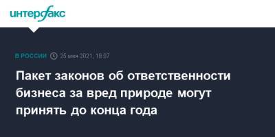 Андрей Яцкин - Пакет законов об ответственности бизнеса за вред природе могут принять до конца года - interfax.ru - Москва