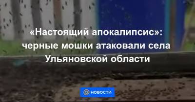 «Настоящий апокалипсис»: черные мошки атаковали села Ульяновской области - news.mail.ru - Ульяновская - район Сурский