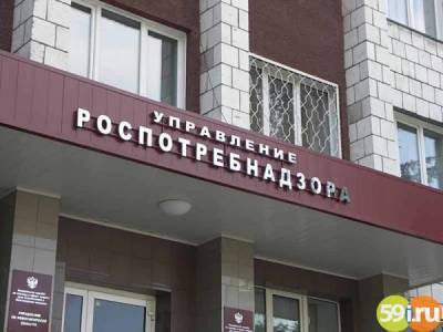В Пермском крае Роспотребнадзор арестовал 31 тысячу сигаретных пачек - 59i.ru - Пермский край