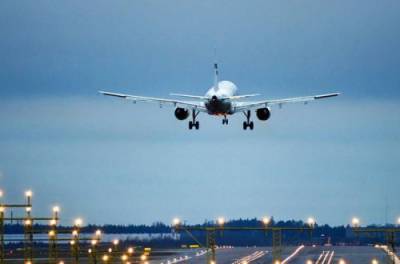 Пара из Индии организовала свадьбу в самолете. ВИДЕО - from-ua.com