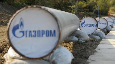 «Газпром» возобновил поставки газа в Турцию по «Голубому потоку» - iz.ru - Турция