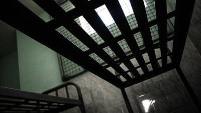В колонии под Саратовом заключенные объявили голодовку из-за антисанитарии - iz.ru - Саратовская обл. - Саратов