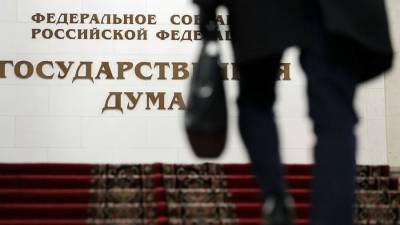 Владимир Зеленский - Руслан Бальбек - В Госдуме оценили идею Зеленского создать нацсопротивление на Украине - iz.ru - ДНР - ЛНР