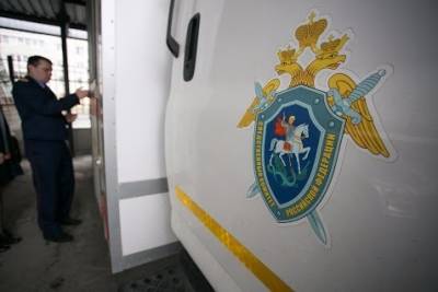 Жена депутата из Омской области снимала порно со школьницами и платила им по 3000 рублей - znak.com - Москва - Омская обл.